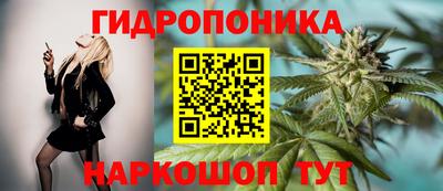винт Гусиноозёрск