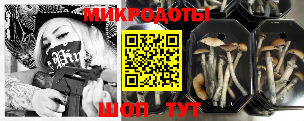 Медногорск  Псилоцибиновые грибы прущие грибы  Вход с VPN 